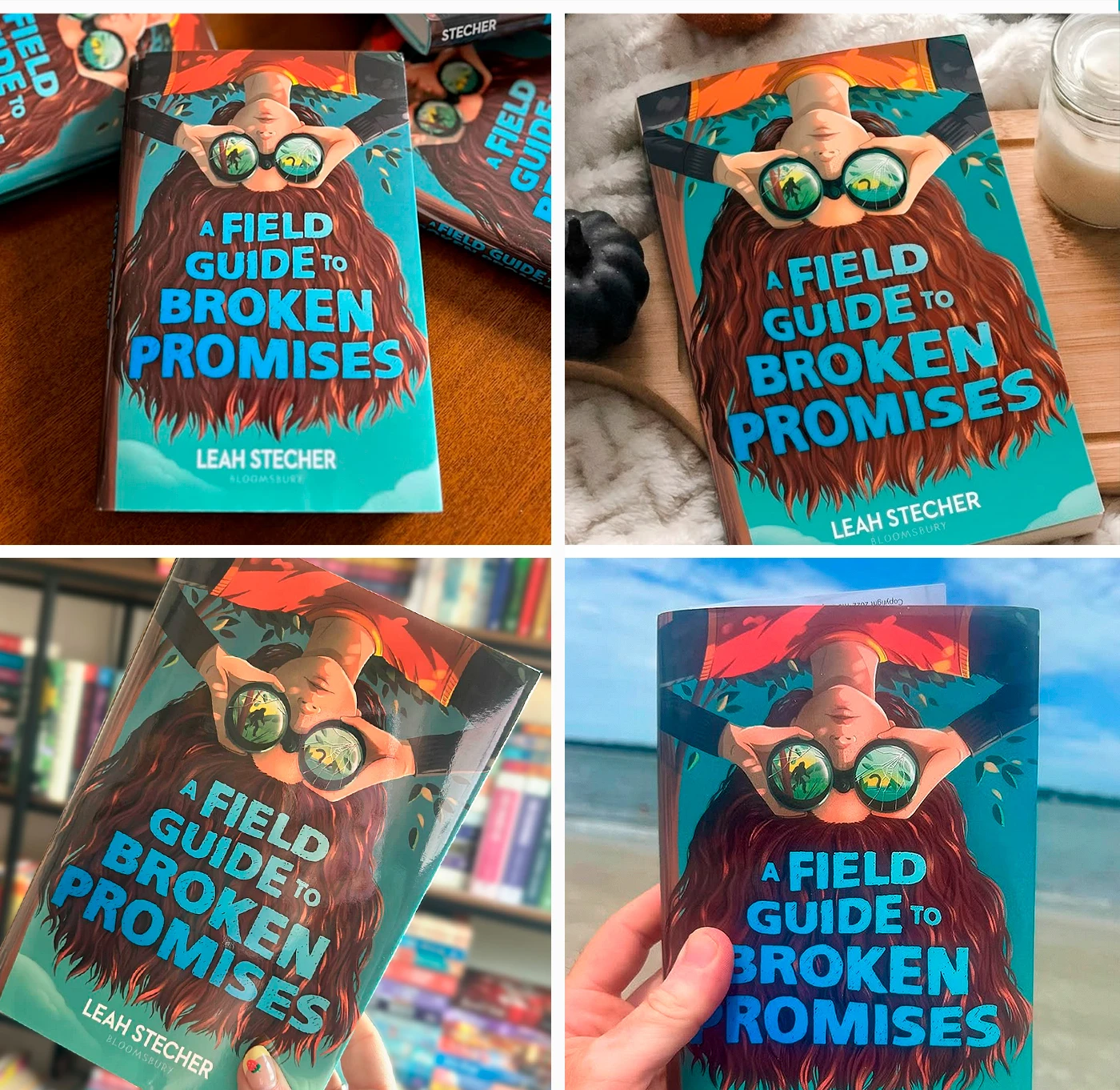 Field Guide to Broken Promises Book Cover by Anna Kuptsova